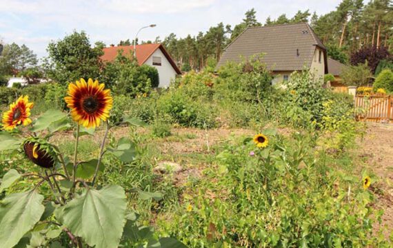 Blick über das Grundstück